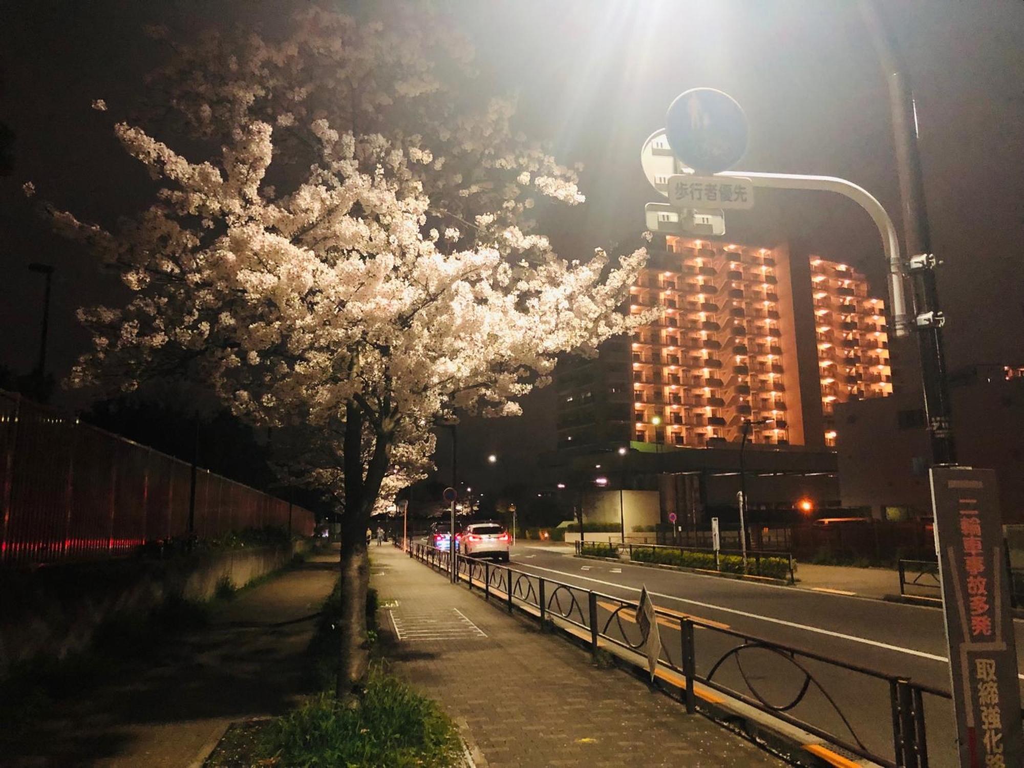 Jl 東京 House - 駐車場付き築浅のまるごと貸切住宅 Токио Экстерьер фото